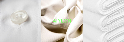 AIYLON COMPANY LIMITED Perfil da Empresa